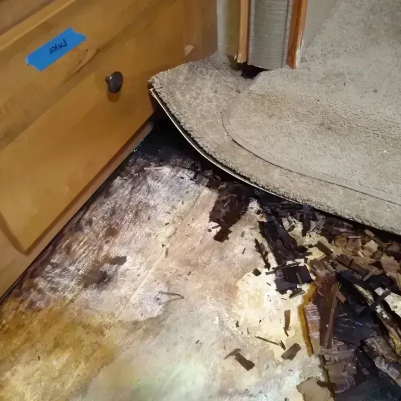 Wood Floor Water Damage in Dukes County, MA